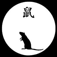 Rat chinois